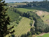 Vakantie Italie 2014 - Toscane  Peccioli : Agriturismo, Italië, Peccioli, Toscane